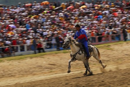 Светло-серый иноходец