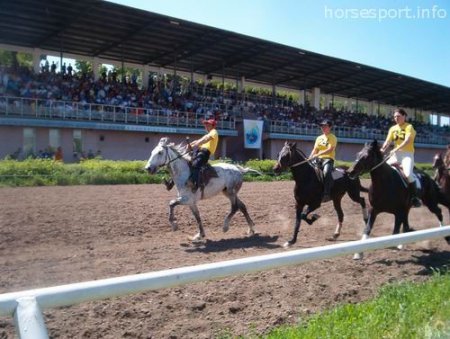 Жорга-жарыс