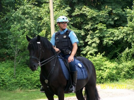 Полицейский верхом на фризе