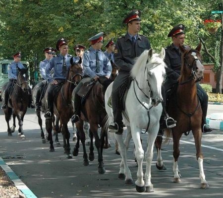Конный патруль