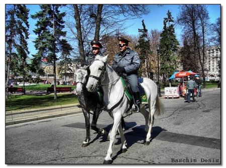 Конная полиция