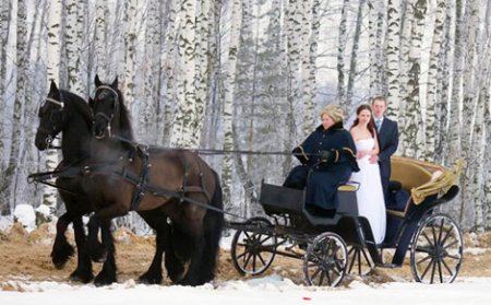 Повозка с двумя фризами