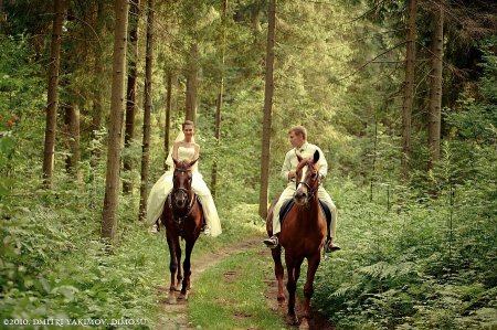 Свадьба верхом