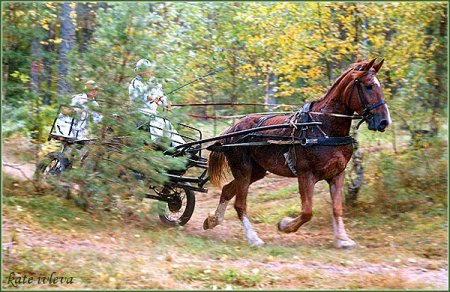 Этап первый