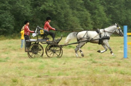 Этап второй