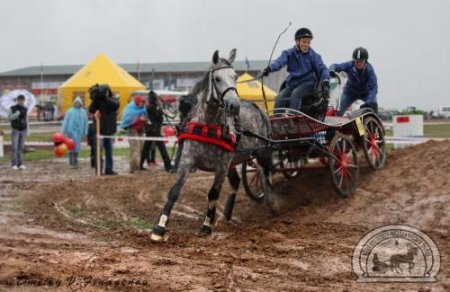 Этап третий