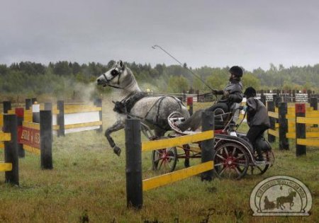 Этап четвертый