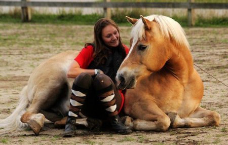 Фото Eva Roemaat и ее жеребца Shilas