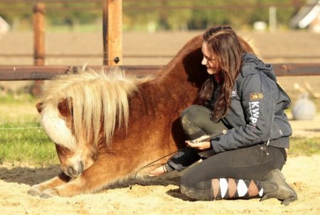 Фото Eva Roemaat и ее пони Flip