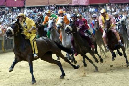 Жеребец Кадырова немного уступил лошади эмира Дубая