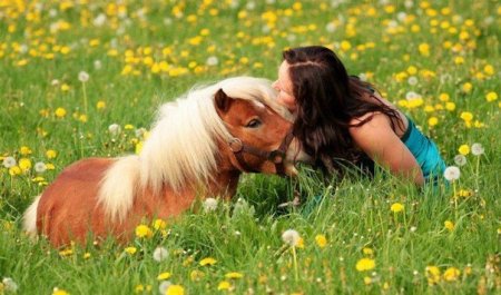 Фото Eva Roemaat и ее пони Flip