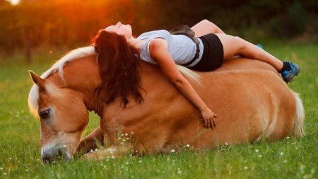 Фото Eva Roemaat и ее жеребца Shilas