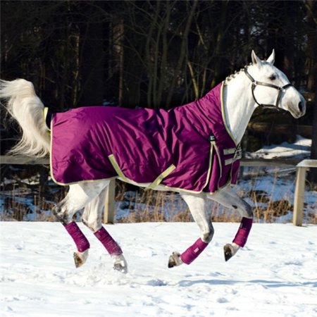 Светло-серая лошадь в темно-розовой попоне