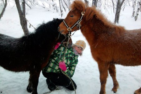 В Мурманской области оштрафовали владельца конюшни, где сгорели лошади