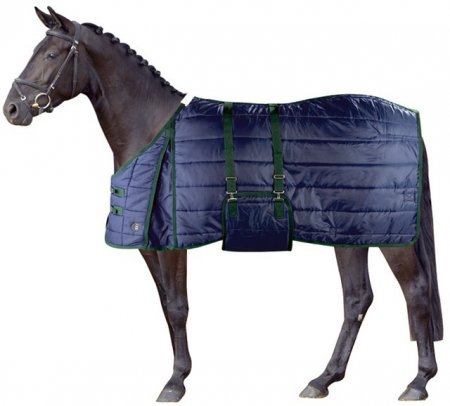 Фото лошади в зимней попоне