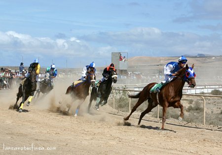 Фото скачек