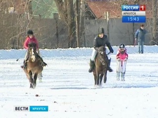 На иркутском ипподроме состоялись соревнования по скиджорингу