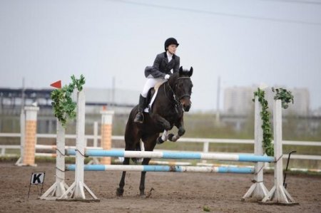 Фото лошади и девушки, прыгающих через препятствие