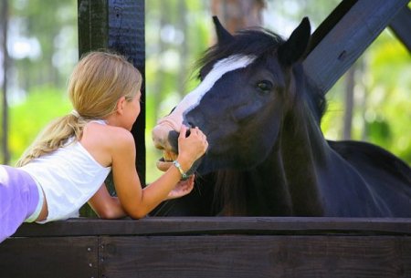 Фото девочки, ласкающей лошадь.