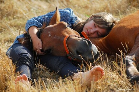Фото лошади и девушки на лугу