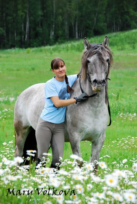 Девушка и конь в поле