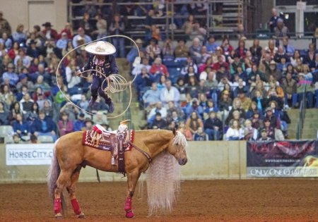Представление на лошади