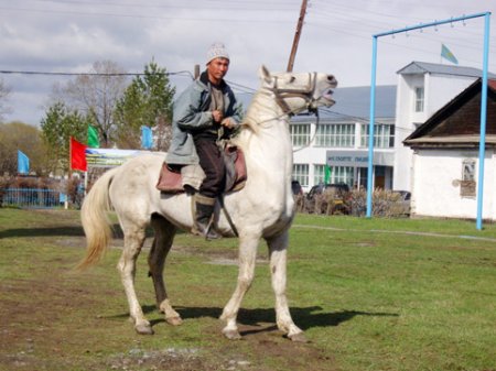 Казак на лошади картинки