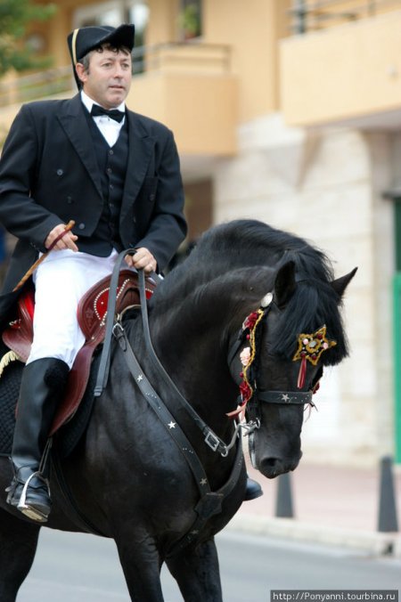 Всадник на меноркской лошади