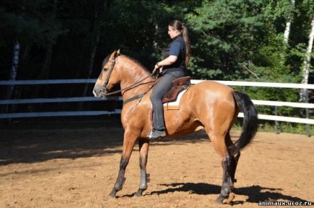 Осаживание