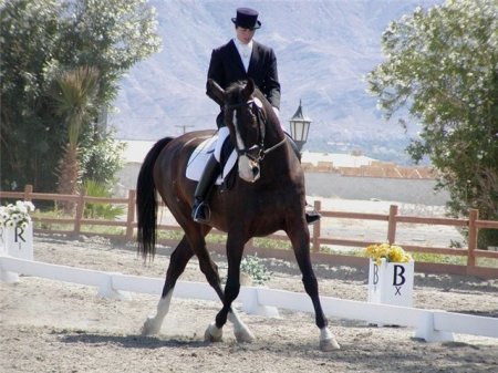 Принимание