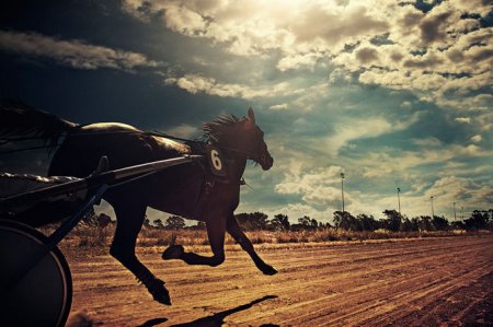 Рысистые бега