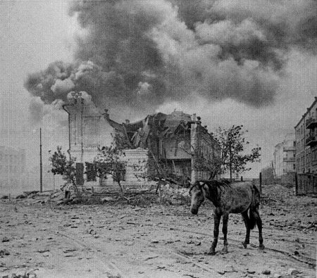 Лошадь стоит рядом с разрушенным домом