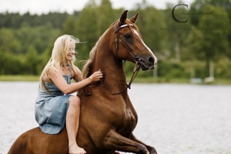 Лошадь и девушка купаются