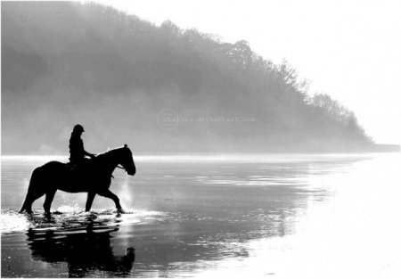 Фото девушки верхом на лошади, гуляющих на озере