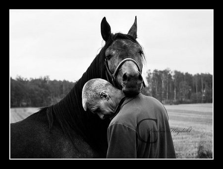 Чёрно - белое фото лошади и мужчины