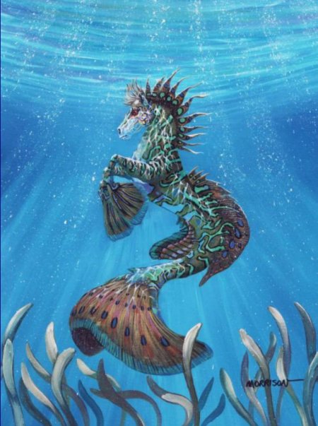 Гиппокамп под водой