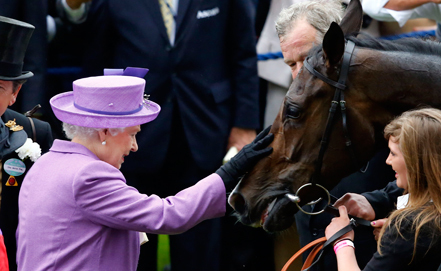 Лошадь Елизаветы II впервые выиграла королевские скачки