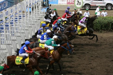 В Пятигорске пройдут конно-спортивные соревнования