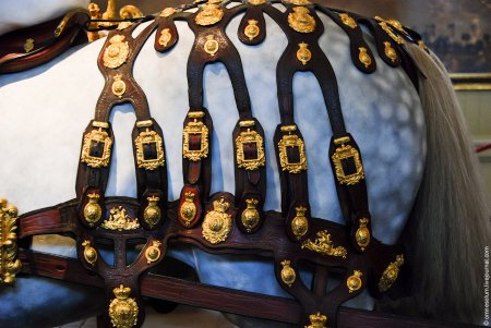 Королевская амуниция на круп лошади