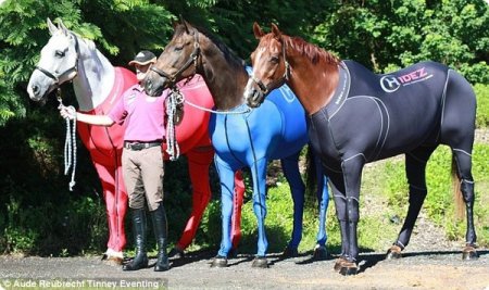 Специальные костюмы для олимпийских лошадей