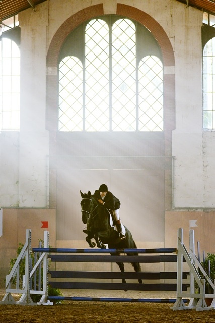 Жаппелу (Jappeloup) – новый фильм про лошадей. Смотреть трейлер к фильму онлайн.