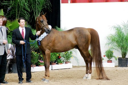 Идеальное сложение