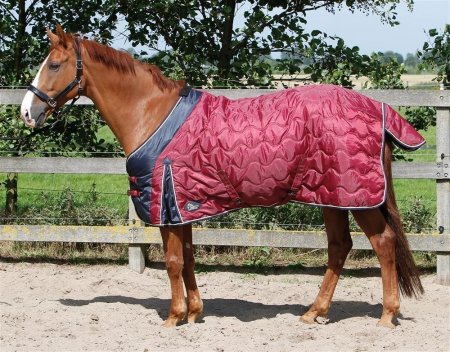 Лошадь в попоне