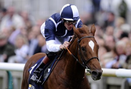 Скачки на ипподроме Ньюмаркет