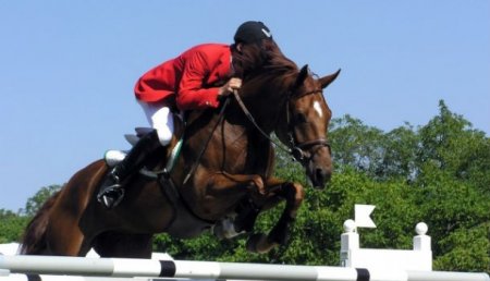 В Волгограде прошли конные соревнования.