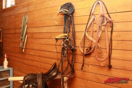 Фото амуниция.