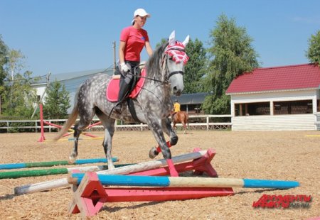Фото лошадки Чавес и его наездника Юлии.
