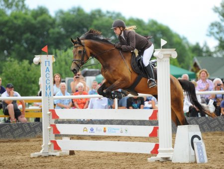 Фото лошади в прыжке.