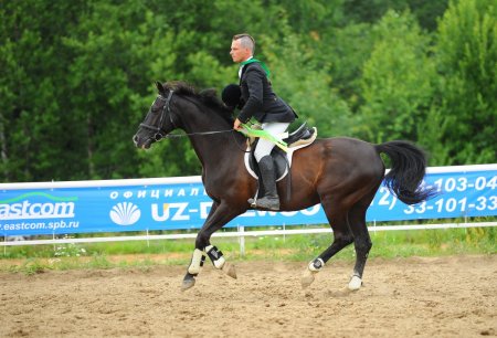 Фото лошади и участника турнира по конкуру.