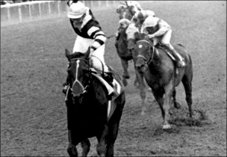 Фото Сеатл Слю и его жокея Жака Крюго на скачках